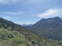 Mina el Coriellu, San Cosme, Llerandi, Parres, Asturias  