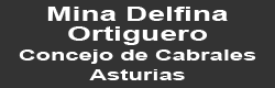 Mina Delfina. Ortiguero. Concejo de Cabrales. Asturias 