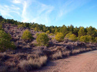 Afloramiento del Keuper, Casas de Ves, Comarca La Manchuela, Albacete   