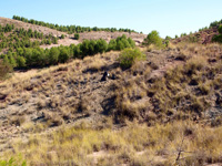 Afloramiento del Keuper, Casas de Ves, Comarca La Manchuela, Albacete   