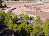 Afloramiento del Keuper, Casas de Ves, Comarca La Manchuela, Albacete   