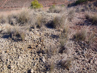 Afloramiento del Keuper, Casas de Ves, Comarca La Manchuela, Albacete   