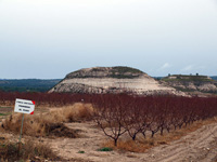 Embalse de Camarillas. Agramón. Albacete