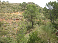 Grupo Minero la Pastora. Paraje de Prado Piñero. Sierra de los Donceles, Hellín