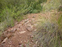 Grupo Minero la Pastora. Paraje de Prado Piñero. Sierra de los Donceles, Hellín