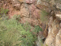 Grupo Minero la Pastora. Paraje de Prado Piñero. Sierra de los Donceles, Hellín