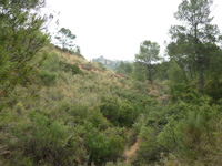 Grupo Minero la Pastora. Paraje de Prado Piñero. Sierra de los Donceles, Hellín