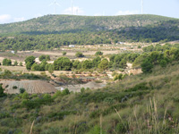 Rambla de los Rincones. Caudete. Albacete