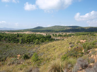 Rambla de los Rincones. Caudete. Albacete