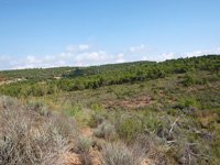 Rambla de los Rincones. Caudete. Albacete