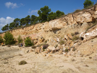 Rambla de los Rincones. Caudete. Albacete