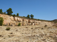 Rambla de los Rincones. Caudete. Albacete