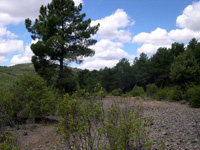 Minas de El Horcajo, El Horcajo, Almodóvar del Campo, Comarca Campo de Calatrava, Ciudad Real