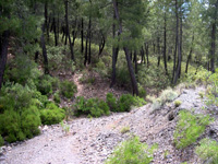 Minas de El Horcajo, El Horcajo, Almodóvar del Campo, Comarca Campo de Calatrava, Ciudad Real