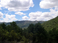 Minas de El Horcajo, El Horcajo, Almodóvar del Campo, Comarca Campo de Calatrava, Ciudad Real