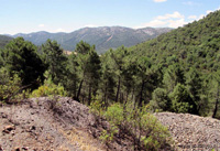 Minas de El Horcajo, El Horcajo, Almodóvar del Campo, Comarca Campo de Calatrava, Ciudad Real