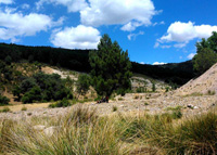 Minas de El Horcajo, El Horcajo, Almodóvar del Campo, Comarca Campo de Calatrava, Ciudad Real