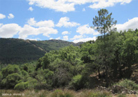 Minas de El Horcajo, El Horcajo, Almodóvar del Campo, Comarca Campo de Calatrava, Ciudad Real