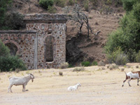 Minas de El Horcajo, El Horcajo, Almodóvar del Campo, Comarca Campo de Calatrava, Ciudad Real