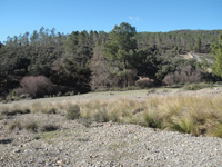 Minas de El Horcajo, El Horcajo, Almodóvar del Campo, Comarca Campo de Calatrava, Ciudad Real