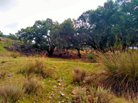 Minas de El Horcajo, El Horcajo, Almodóvar del Campo, Comarca Campo de Calatrava, Ciudad Real