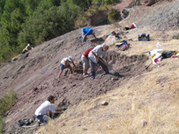 Barranco de el Retamal. Enguidanos. Cuenca