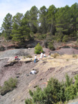 Barranco de el Retamal. Enguidanos. Cuenca