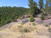 Barranco de el Retamal. Enguidanos. Cuenca