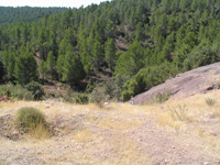 Barranco de el Retamal. Enguidanos. Cuenca