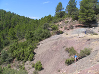 Barranco de el Retamal. Enguidanos. Cuenca