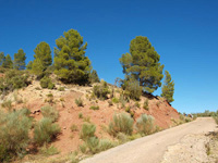 Rambla de la Escarabehuela, Enguídanos, Cuenca   