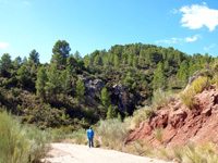 Rambla de la Escarabehuela, Enguídanos, Cuenca   