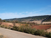 Rambla de la Escarabehuela, Enguídanos, Cuenca   