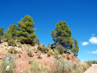 Rambla de la Escarabehuela, Enguídanos, Cuenca   