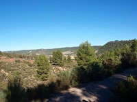 Rambla de la Escarabehuela, Enguídanos, Cuenca   