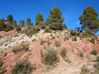 Rambla de la Escarabehuela, Enguídanos, Cuenca   