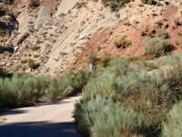 Rambla de la Escarabehuela, Enguídanos, Cuenca  