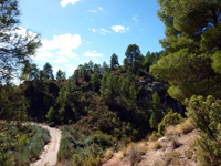 Rambla de la Escarabehuela, Enguídanos, Cuenca  