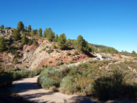 Rambla de la Escarabehuela, Enguídanos, Cuenca         