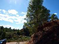 Rambla de la Escarabehuela, Enguídanos, Cuenca. 