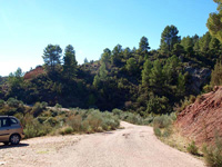 Rambla de la Escarabehuela, Enguídanos, Cuenca.   