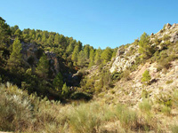 Rambla de la Escarabehuela, Enguídanos, Cuenca. Aragonito         