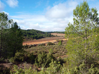 Los Molinillos, Minglanilla, Cuenca