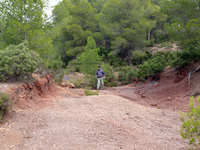 Los Molinillos, Minglanilla, Cuenca