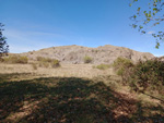 Cerros volcánicos de Cañamares. Guadalajara