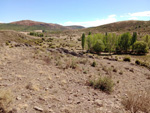 Cerros volcánicos de Cañamares. Guadalajara