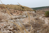 Las canteras de Valdemuerto. Noblejas. Toledo