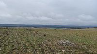 Yacimiento de Variscita. Palazuelo de las Cuevas. Zamora