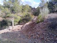 Mina Règia, Bellmunt del Priorat, Tarragona.      