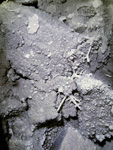 Mina Règia, Bellmunt del Priorat, Tarragona.     Cuarzo y Pistacita xx de 2 cm Albatera  